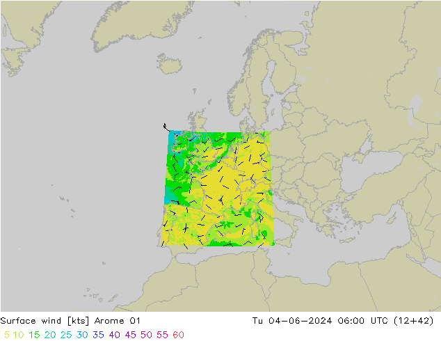 wiatr 10 m Arome 01 wto. 04.06.2024 06 UTC
