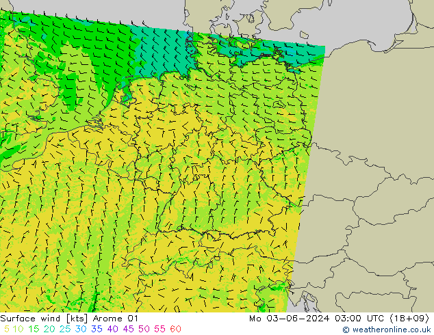Surface wind Arome 01 Mo 03.06.2024 03 UTC