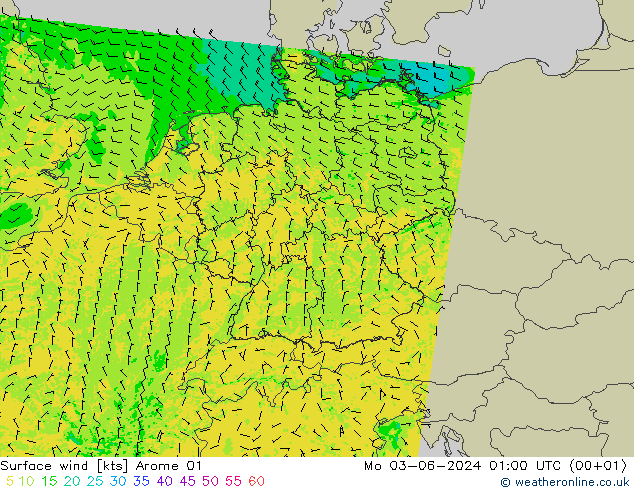 Rüzgar 10 m Arome 01 Pzt 03.06.2024 01 UTC