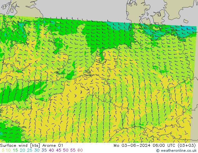 Wind 10 m Arome 01 ma 03.06.2024 06 UTC