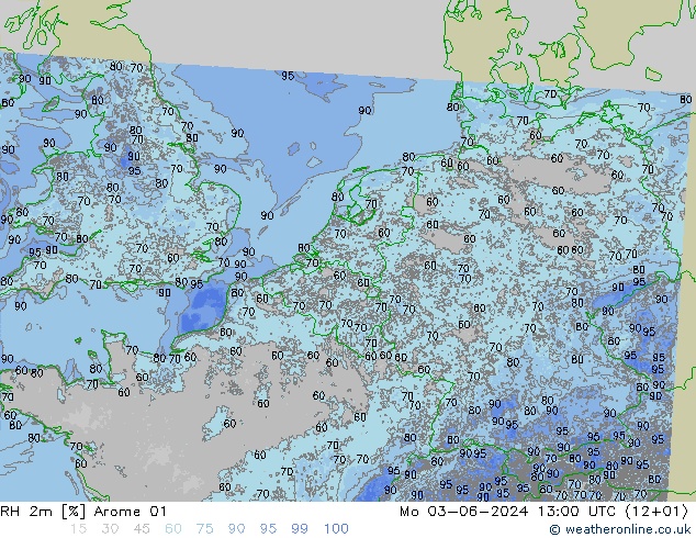 RH 2m Arome 01 пн 03.06.2024 13 UTC