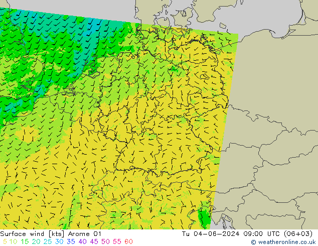 风 10 米 Arome 01 星期二 04.06.2024 09 UTC