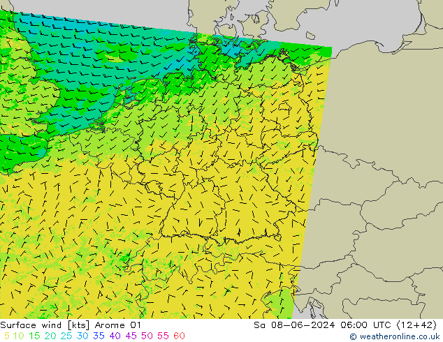 Surface wind Arome 01 Sa 08.06.2024 06 UTC