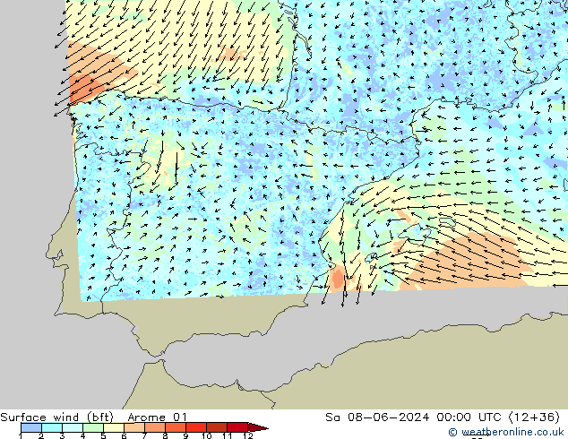 Surface wind (bft) Arome 01 Sa 08.06.2024 00 UTC