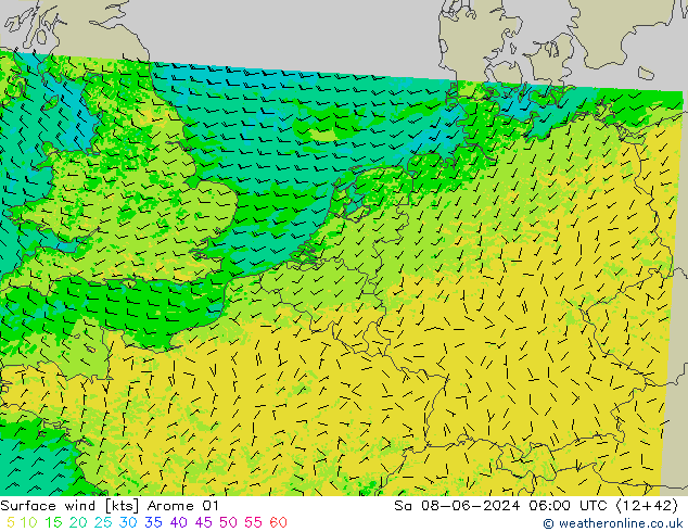 wiatr 10 m Arome 01 so. 08.06.2024 06 UTC