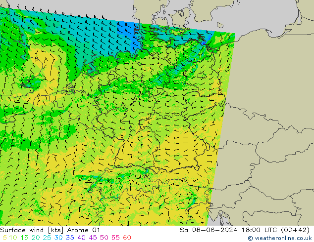 wiatr 10 m Arome 01 so. 08.06.2024 18 UTC