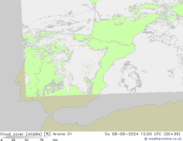 Bewolking (Middelb.) Arome 01 za 08.06.2024 12 UTC