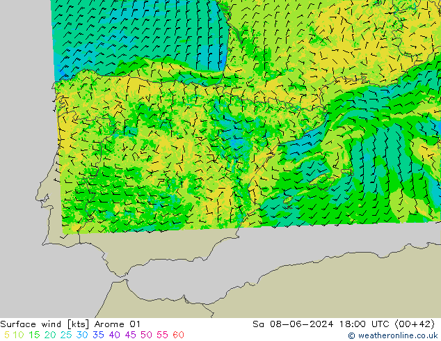 Surface wind Arome 01 Sa 08.06.2024 18 UTC