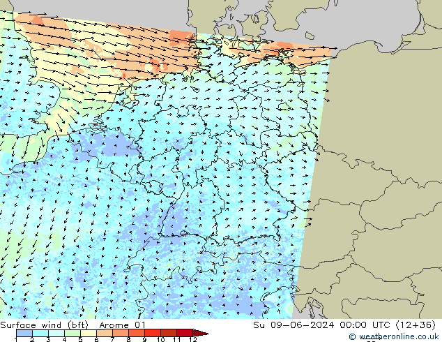 Wind 10 m (bft) Arome 01 zo 09.06.2024 00 UTC