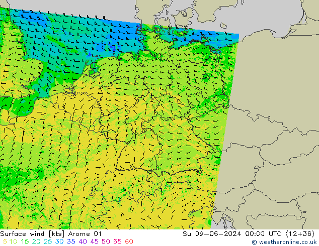 Viento 10 m Arome 01 dom 09.06.2024 00 UTC