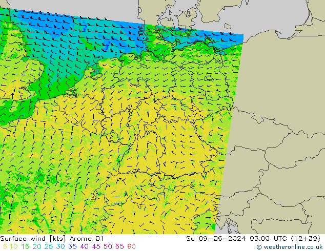 Vento 10 m Arome 01 dom 09.06.2024 03 UTC