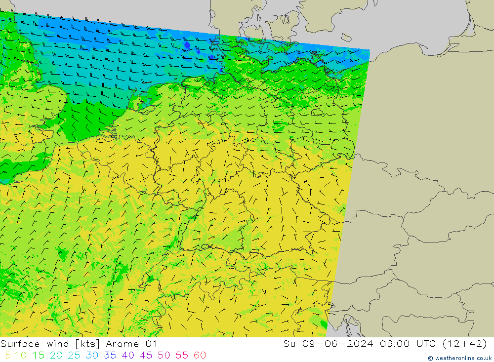 Surface wind Arome 01 Ne 09.06.2024 06 UTC