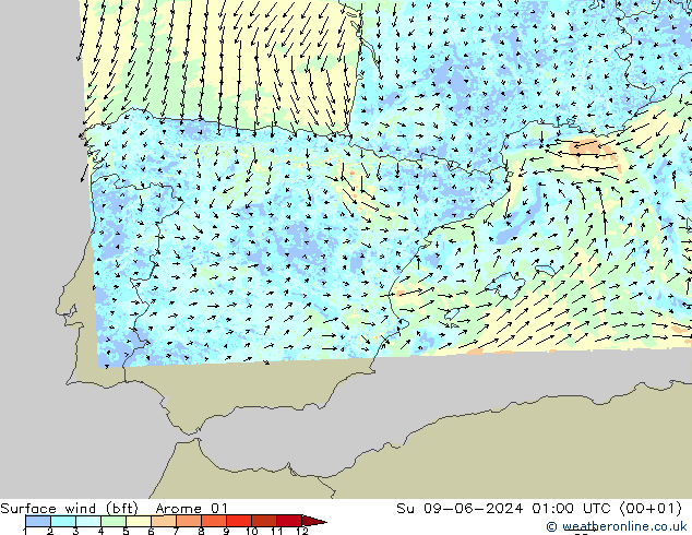 Surface wind (bft) Arome 01 Ne 09.06.2024 01 UTC