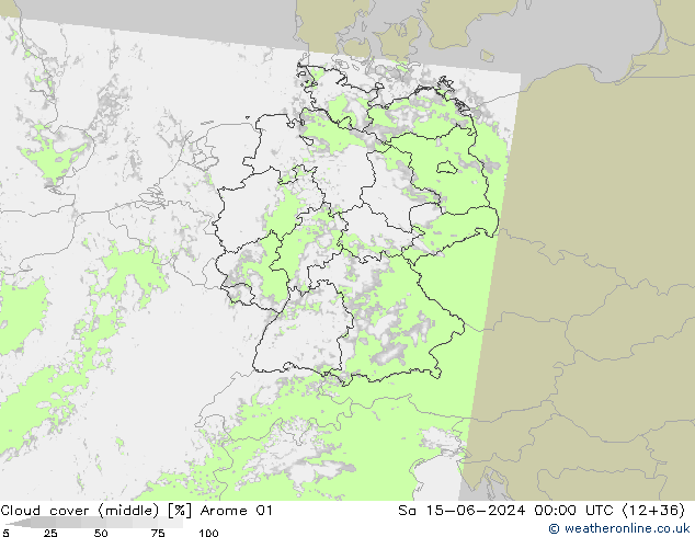 Cloud cover (middle) Arome 01 Sa 15.06.2024 00 UTC