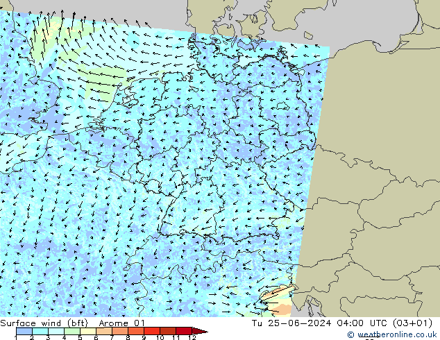 Wind 10 m (bft) Arome 01 di 25.06.2024 04 UTC