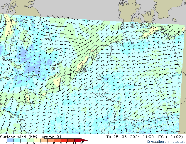 �N 10 米 (bft) Arome 01 星期二 25.06.2024 14 UTC