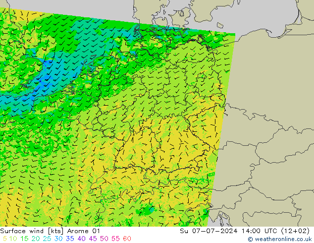 Wind 10 m Arome 01 zo 07.07.2024 14 UTC