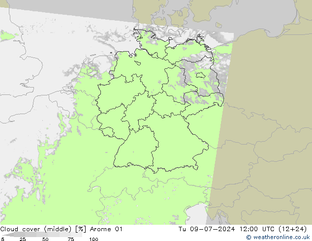 云 (中) Arome 01 星期二 09.07.2024 12 UTC