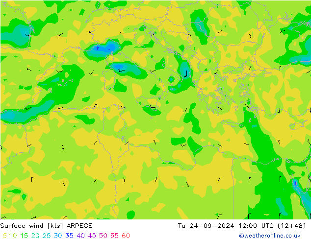 Surface wind ARPEGE Tu 24.09.2024 12 UTC