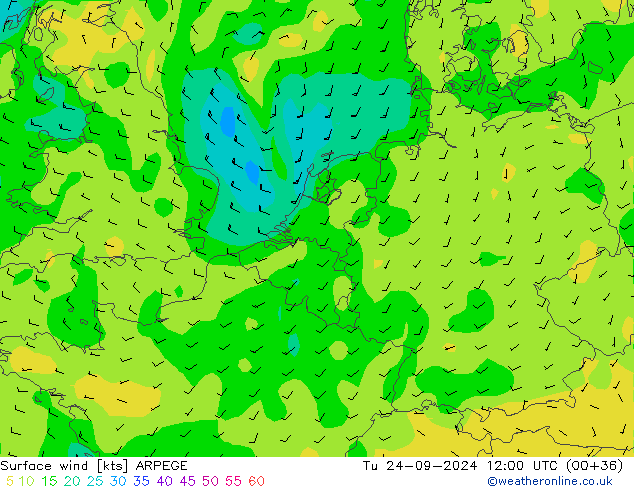 Surface wind ARPEGE Tu 24.09.2024 12 UTC