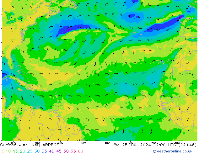 Surface wind ARPEGE We 25.09.2024 12 UTC