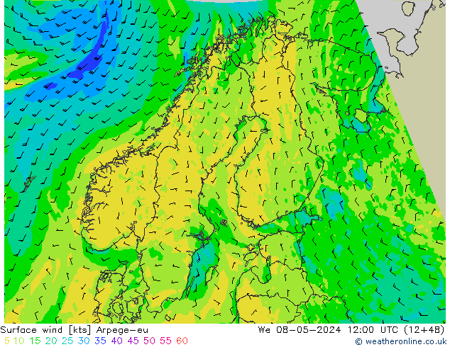 Surface wind Arpege-eu We 08.05.2024 12 UTC