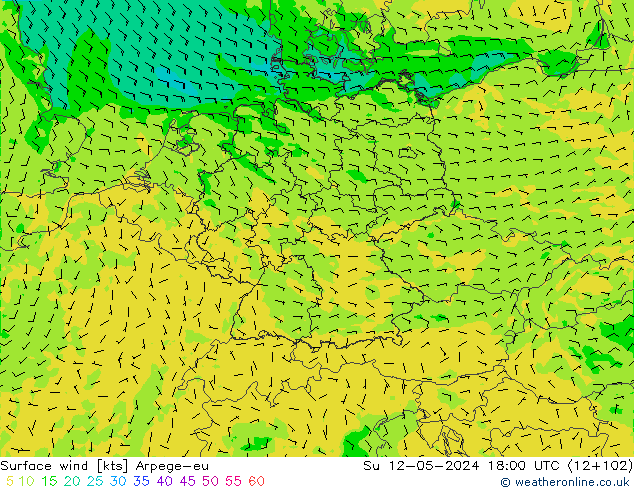风 10 米 Arpege-eu 星期日 12.05.2024 18 UTC