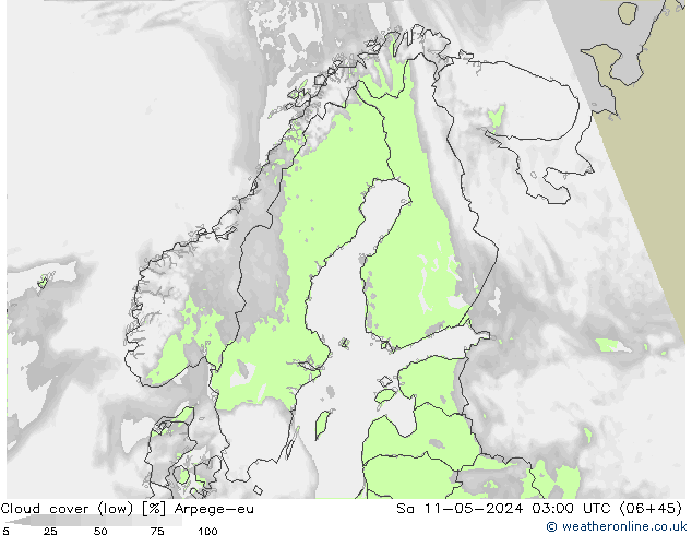 Cloud cover (low) Arpege-eu Sa 11.05.2024 03 UTC