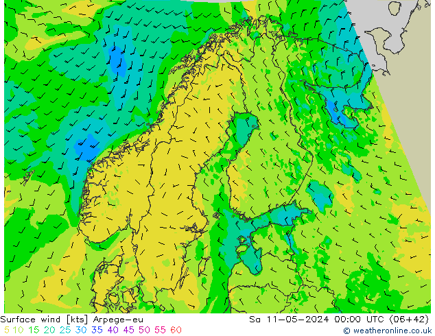 Surface wind Arpege-eu Sa 11.05.2024 00 UTC