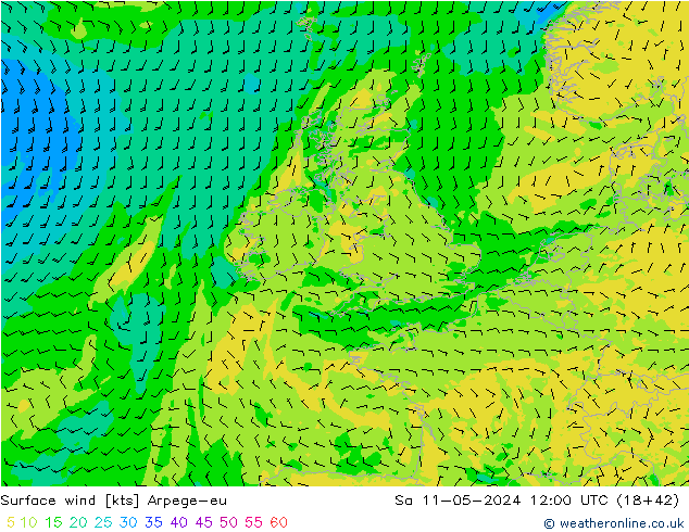 Surface wind Arpege-eu So 11.05.2024 12 UTC
