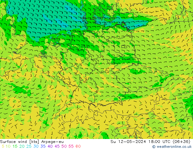 Surface wind Arpege-eu Ne 12.05.2024 18 UTC