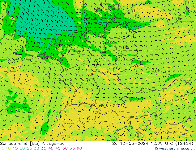 风 10 米 Arpege-eu 星期日 12.05.2024 12 UTC