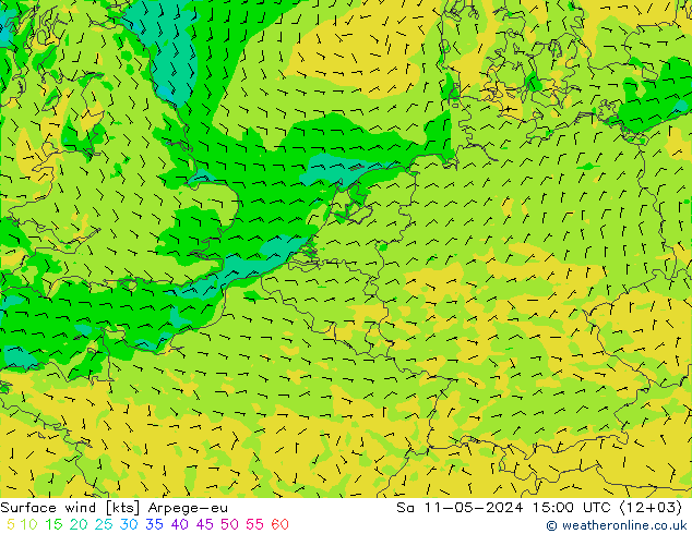 Surface wind Arpege-eu Sa 11.05.2024 15 UTC