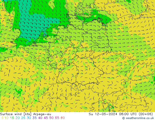 风 10 米 Arpege-eu 星期日 12.05.2024 06 UTC