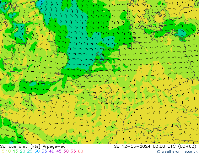 风 10 米 Arpege-eu 星期日 12.05.2024 03 UTC