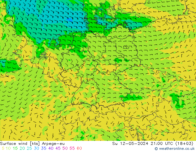 风 10 米 Arpege-eu 星期日 12.05.2024 21 UTC