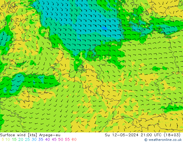 风 10 米 Arpege-eu 星期日 12.05.2024 21 UTC