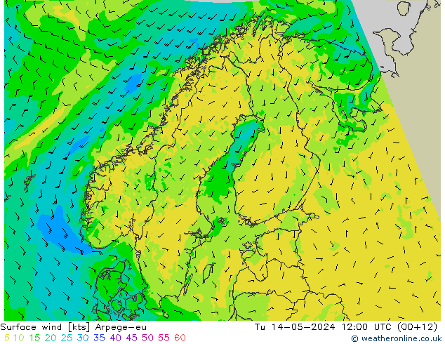 Surface wind Arpege-eu Tu 14.05.2024 12 UTC