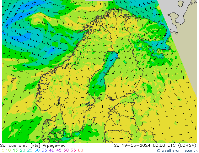 Surface wind Arpege-eu Su 19.05.2024 00 UTC