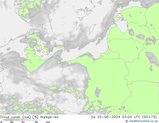 Cloud cover (low) Arpege-eu Sa 25.05.2024 03 UTC