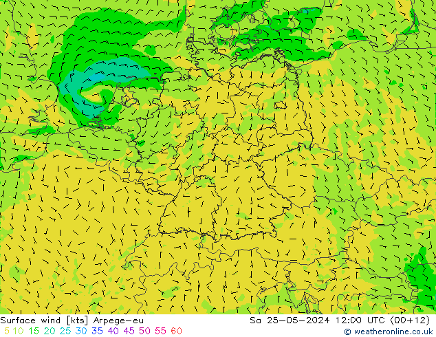 Surface wind Arpege-eu Sa 25.05.2024 12 UTC