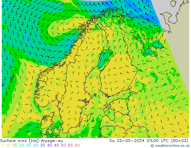 Rüzgar 10 m Arpege-eu Cts 25.05.2024 03 UTC