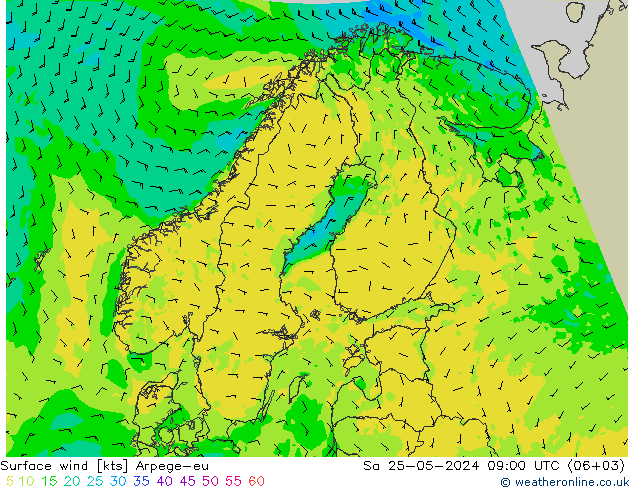 Surface wind Arpege-eu Sa 25.05.2024 09 UTC