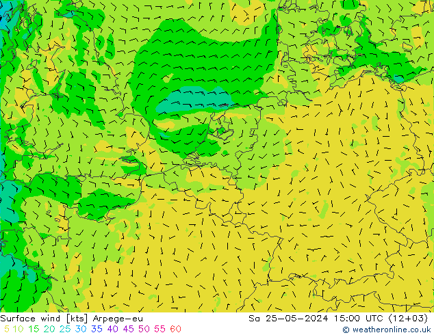 Surface wind Arpege-eu Sa 25.05.2024 15 UTC