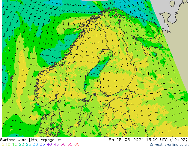 Bodenwind Arpege-eu Sa 25.05.2024 15 UTC