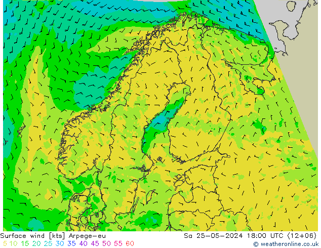 Surface wind Arpege-eu Sa 25.05.2024 18 UTC