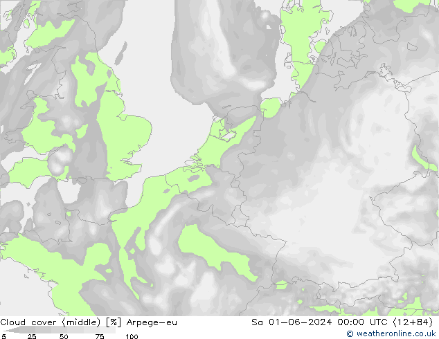 Bulutlar (orta) Arpege-eu Cts 01.06.2024 00 UTC