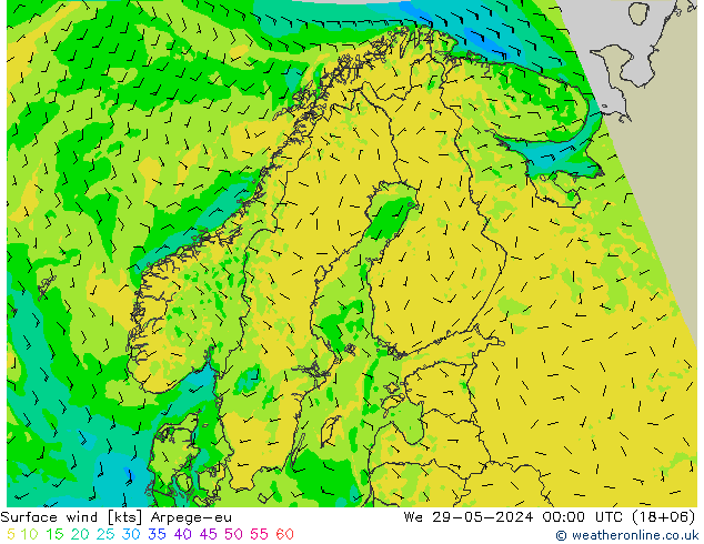 Surface wind Arpege-eu St 29.05.2024 00 UTC