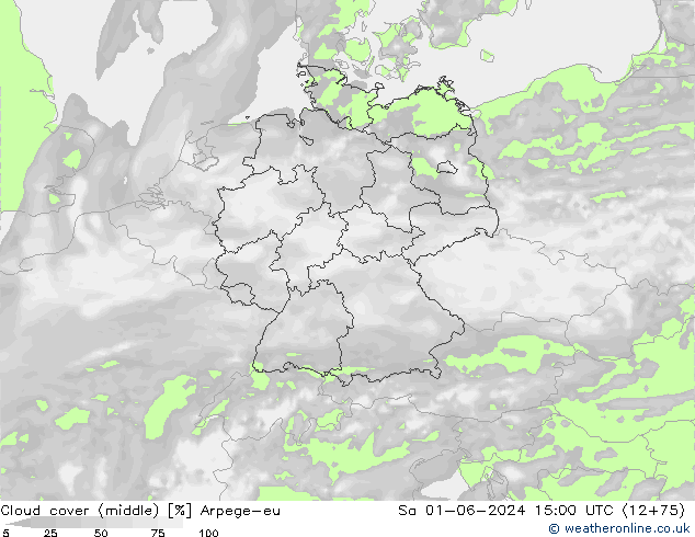 Cloud cover (middle) Arpege-eu Sa 01.06.2024 15 UTC