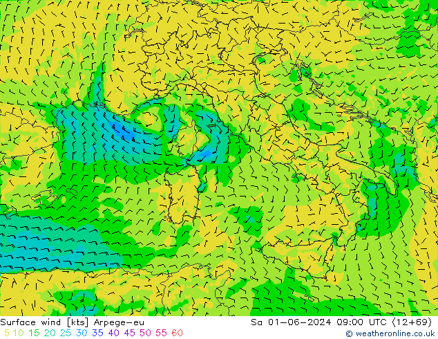 Surface wind Arpege-eu Sa 01.06.2024 09 UTC
